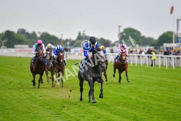 190523-Race 5-Mostabshir-0901 - Race 5 4.10pm Darley Novice Stakes