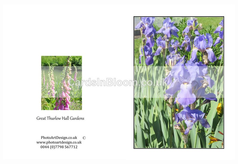 014 Thurlow Hall Gardens - Irises - GARDENS