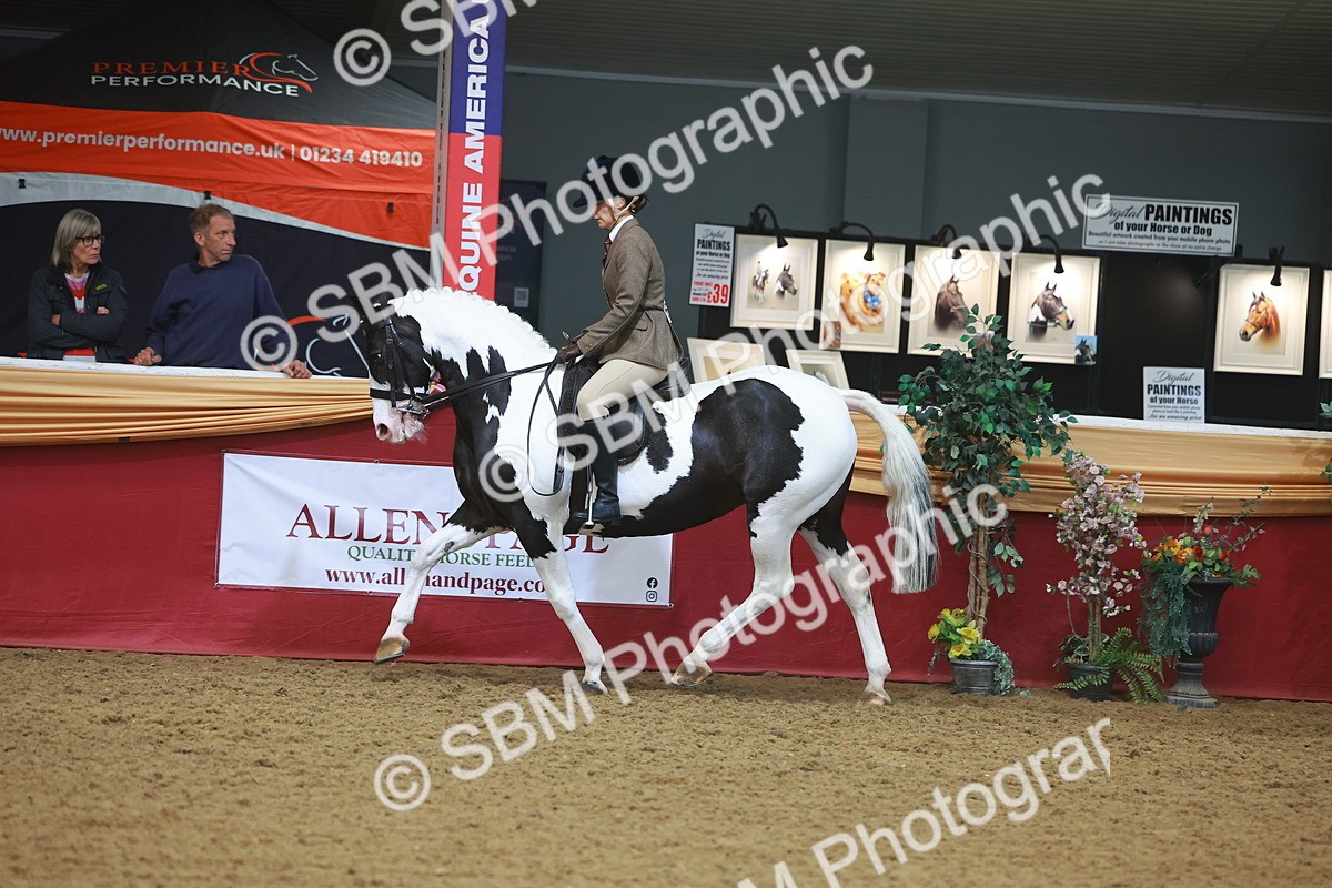 SBM_10565 - Class 103 - HOYS Veteran Qualifier - Ridden Pre Vet