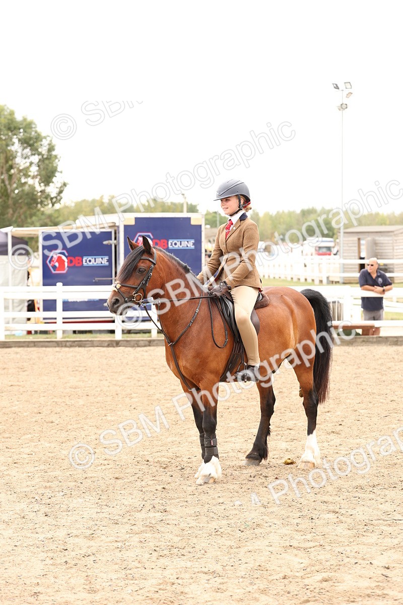 SBM_06238 - Class 57b -  Style & Performance - 60cm (20+)