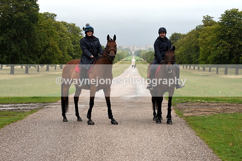 TT3_8328 - Time at Crossing 10:16 to 11:38