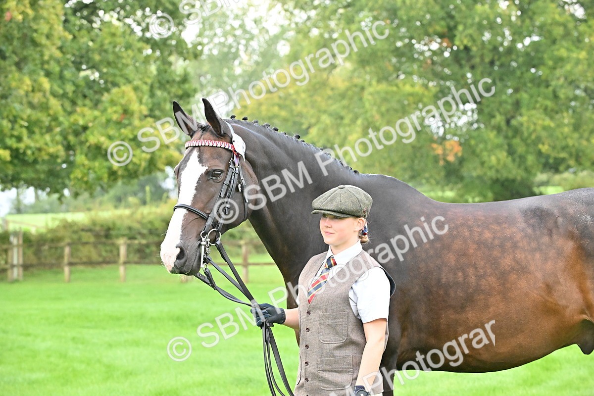 SBM_32637 - S15 - Top Turnout In Hand