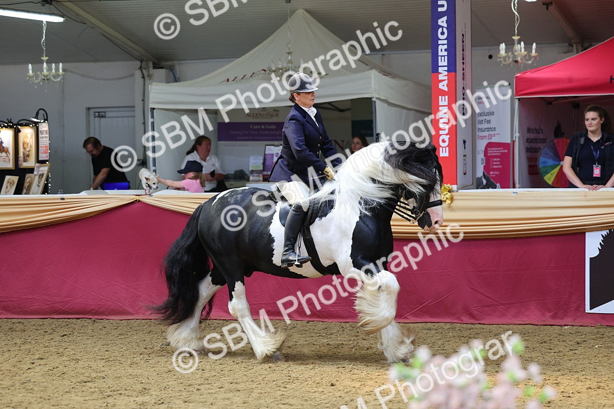 SBM_24060 - Class 905 - Supreme Final - Ridden Veteran