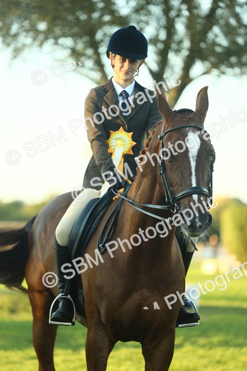 SBM_56568 - S14 - Riding Club Horse