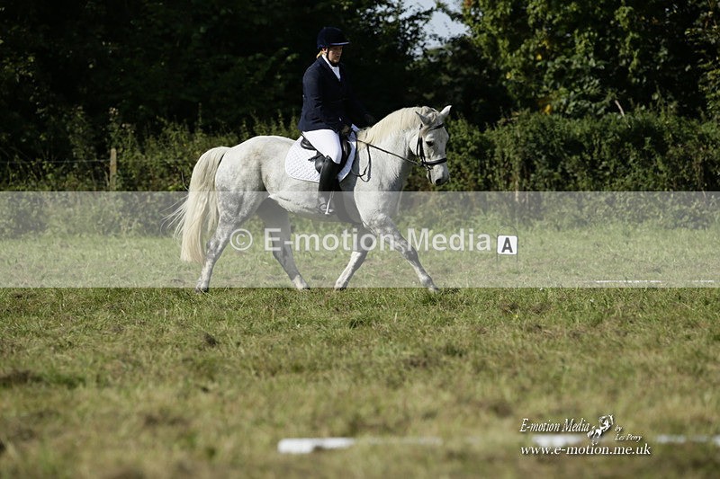 BVRC 120921 234 - Bourne Valley Riding Club UA Dressage & Show Jumping 12/09/21