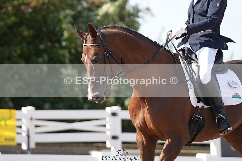 250906-150732-04662 - 108-Susan.JonesWoodlander.Summer.Breeze