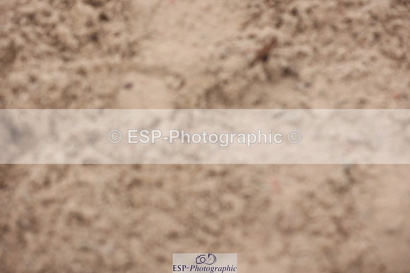 241116X-104139-00936 - Cls 08 Pony Winter Nov Champs