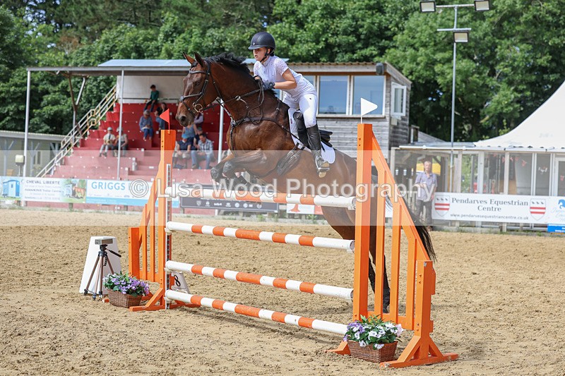 3E7A7521 - Class 9: Senior Foxhunter/1.20 open