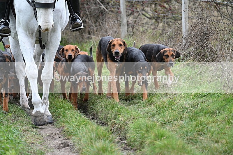 WJ7_0823 - First Seen