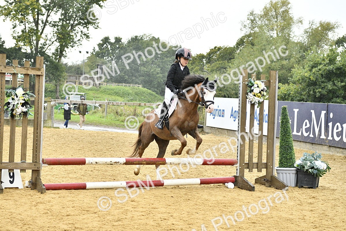 SBM_70813 - J3 - Mini Tour Junior Pony 40cm championship