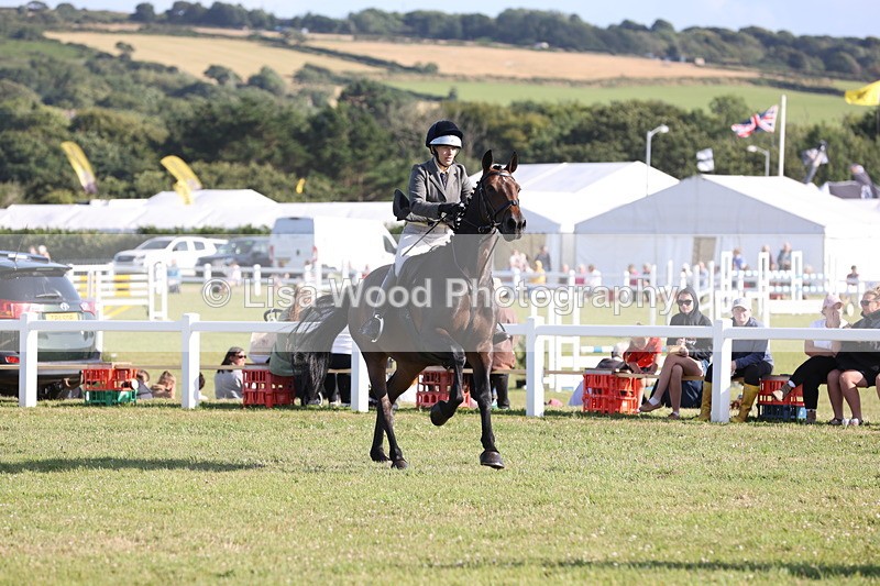 JPP_3114 - Class 21: Working Hunter 80cm