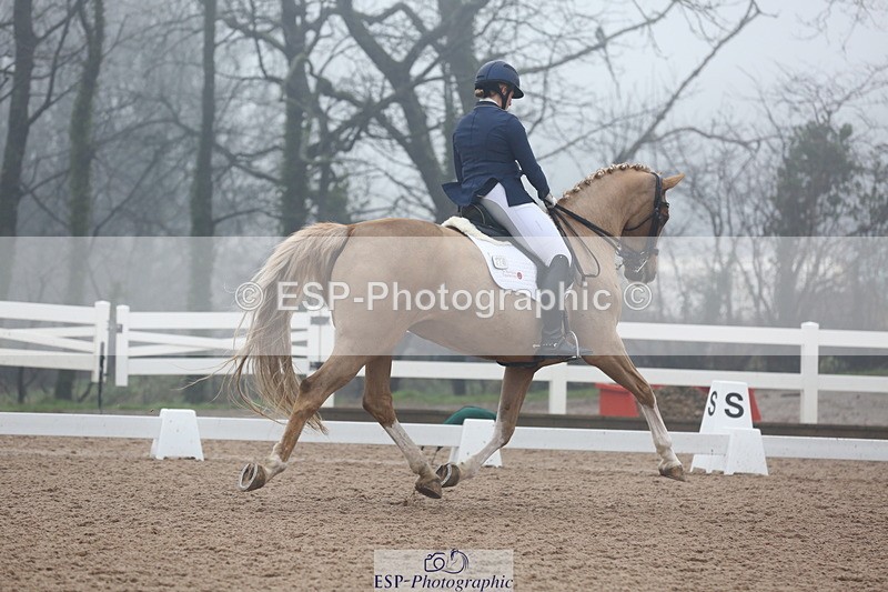 240217A-123259-02905 - 274-Clare.Smith-Dori.Dragon.Fly