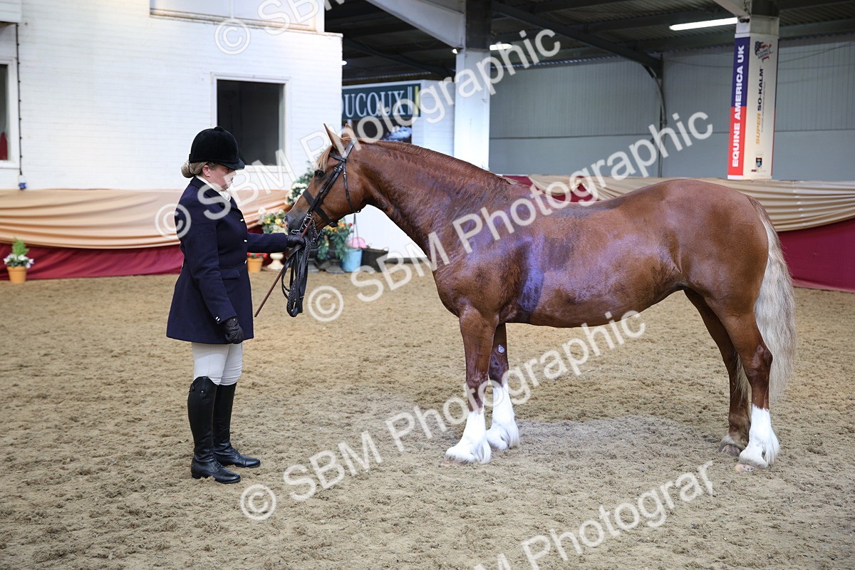 SBM_24790 - Class 906 - Supreme Final - Ridden Pre Vet