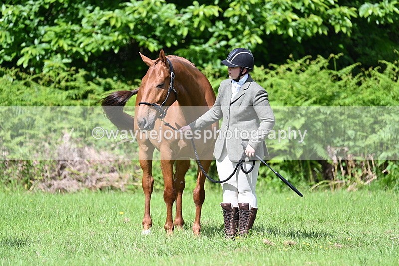 WJ7_1061 - Class 11 Condition & Turnout