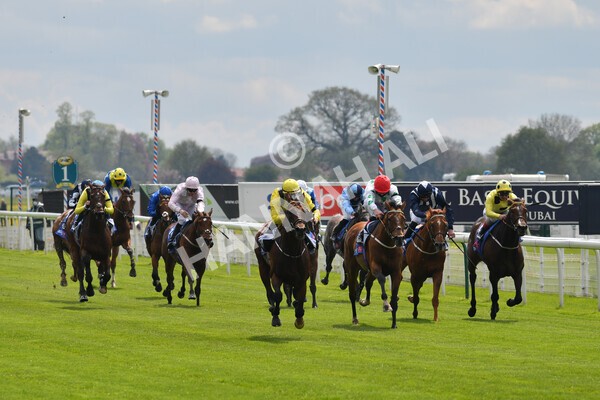 yr12052021r1-31 - Race 1 1.40pm Sky Bet Race to the Ebor Jorvik Stakes