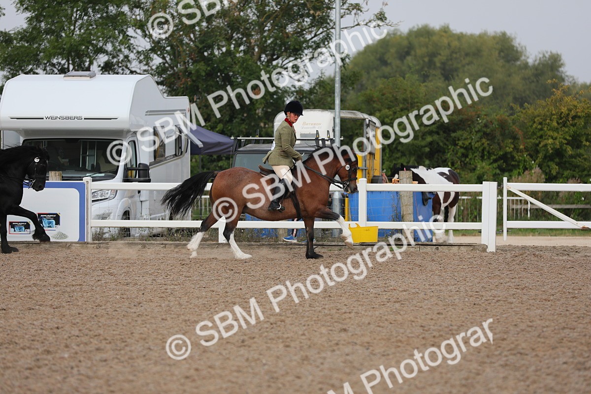 SBM_10013 - Class 302 Ridden M&M -Large Breeds