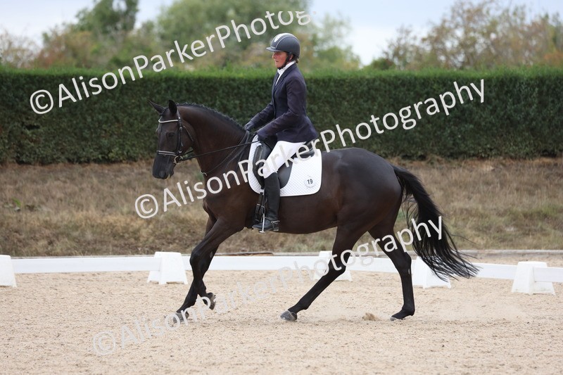 20250820-1030 - Class 16 - Novice 5