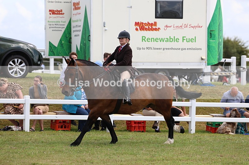 3E7A0612 - Rising Star Ridden Championship