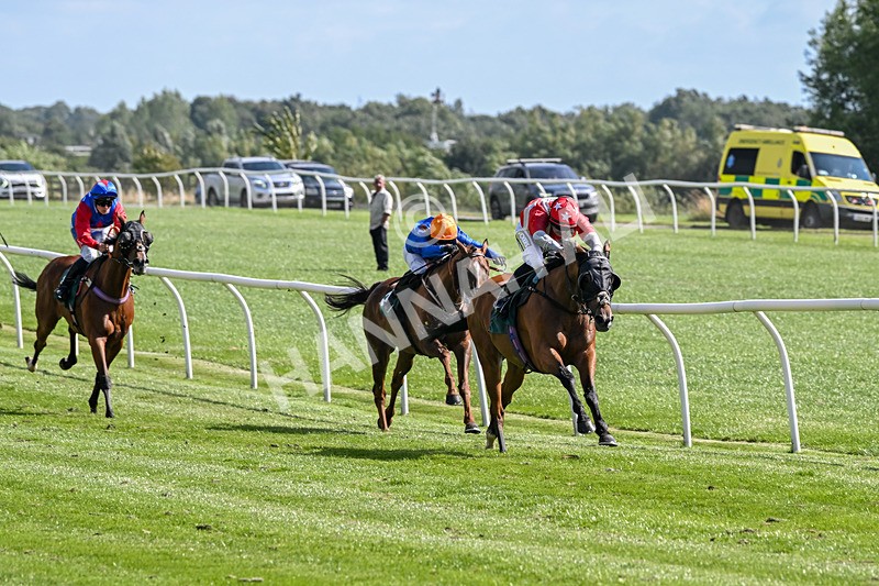 050825-Race 3-Sophar Sogood-5762 - Race 3