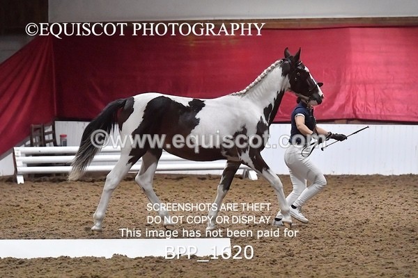 BPP_1620 - MORNING 9AM - 12PM