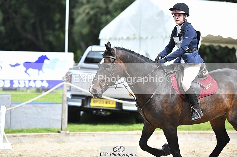 230827-125407-24676 - SJ 11.30 to End