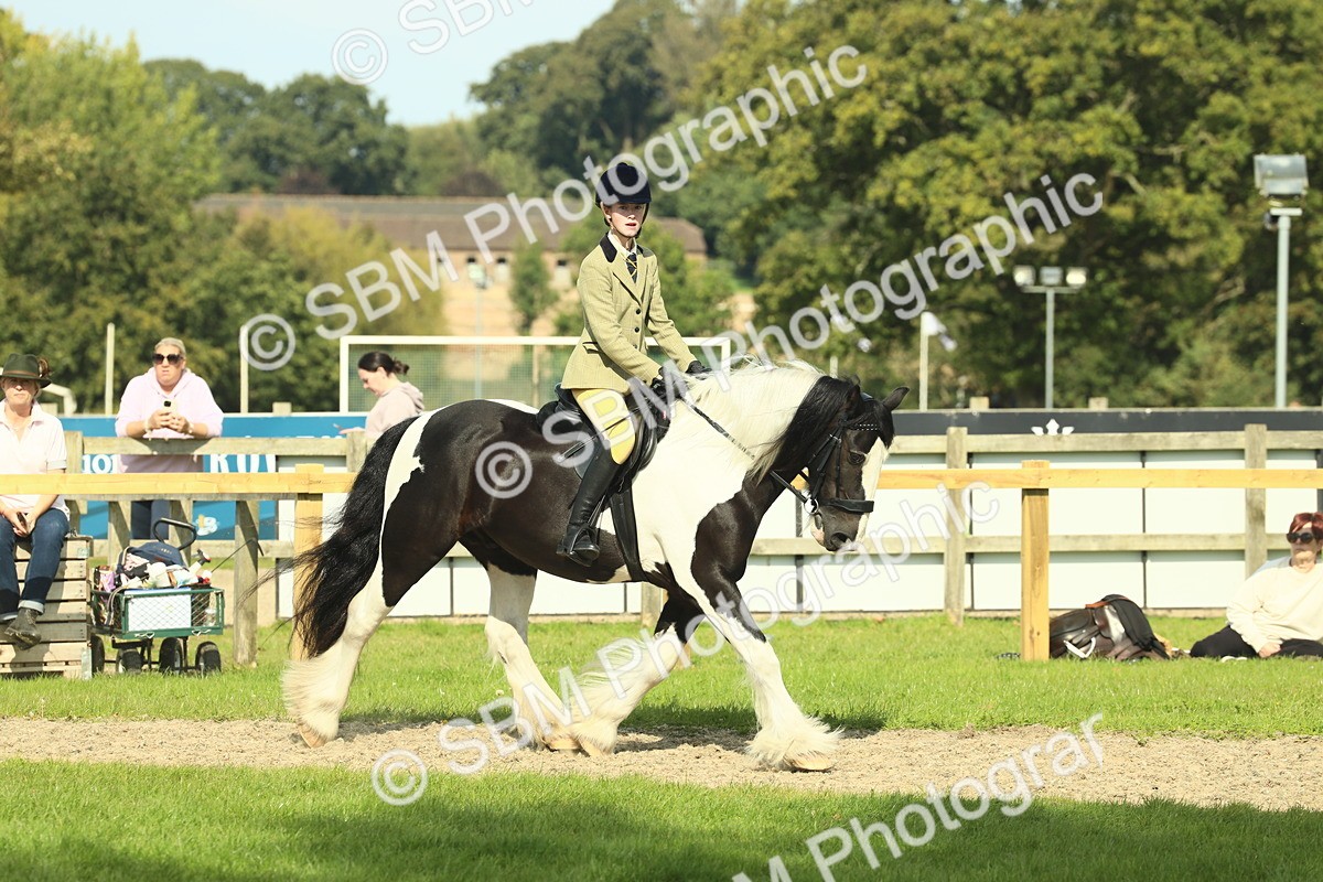 SBM_67594 - S56 - Coloured Pony Ridden