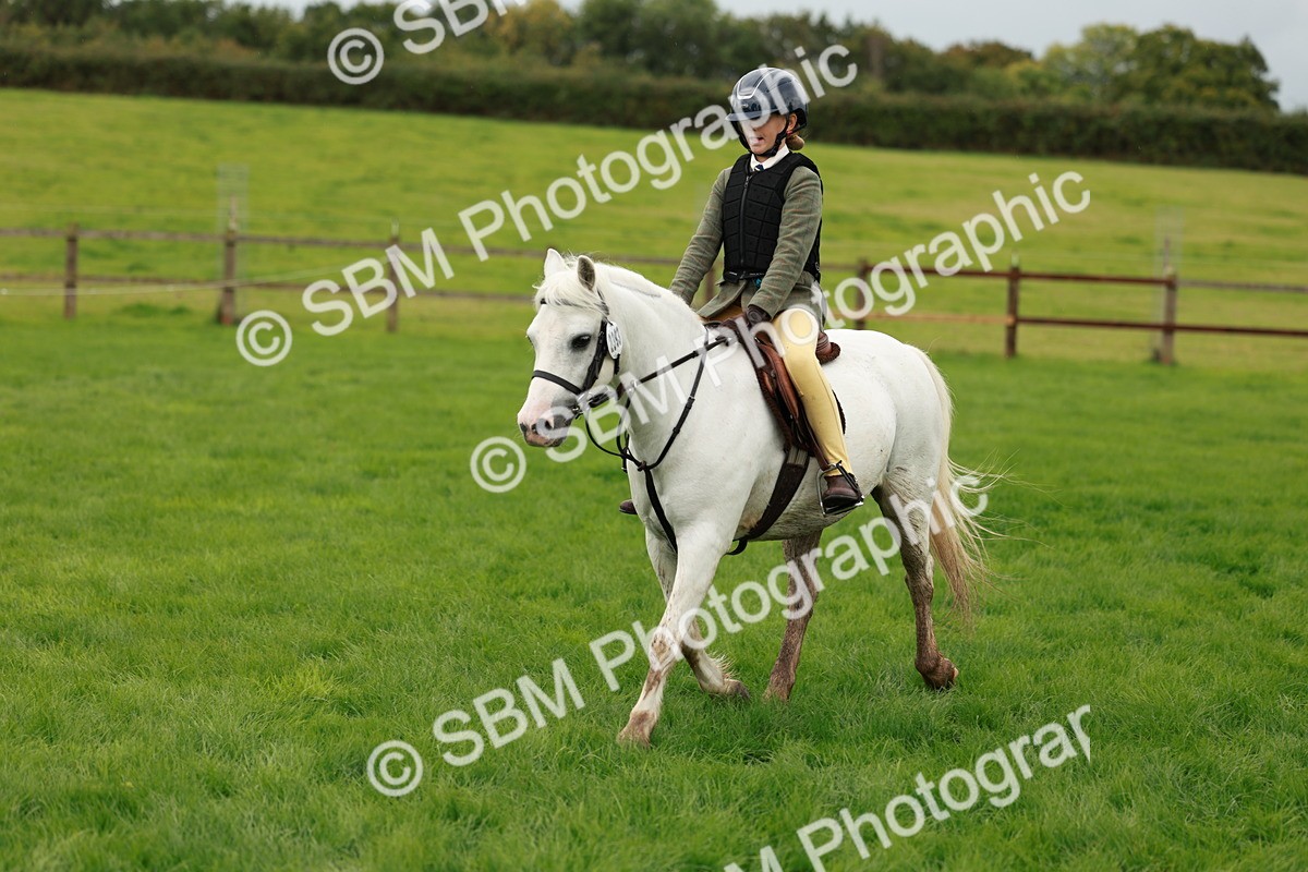 SBM_41797 - S32 - Mountain & Moorland Working Hunter Pony