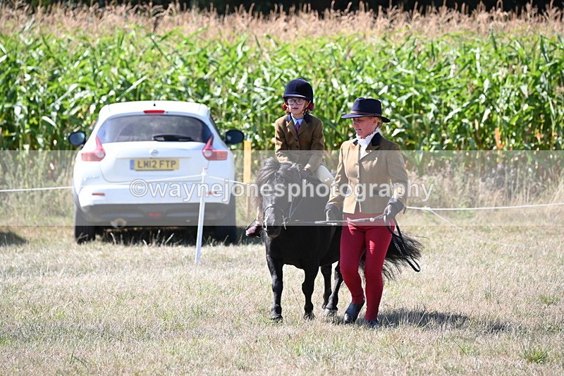 WJ6_8098 - Class 36 Lead Rein