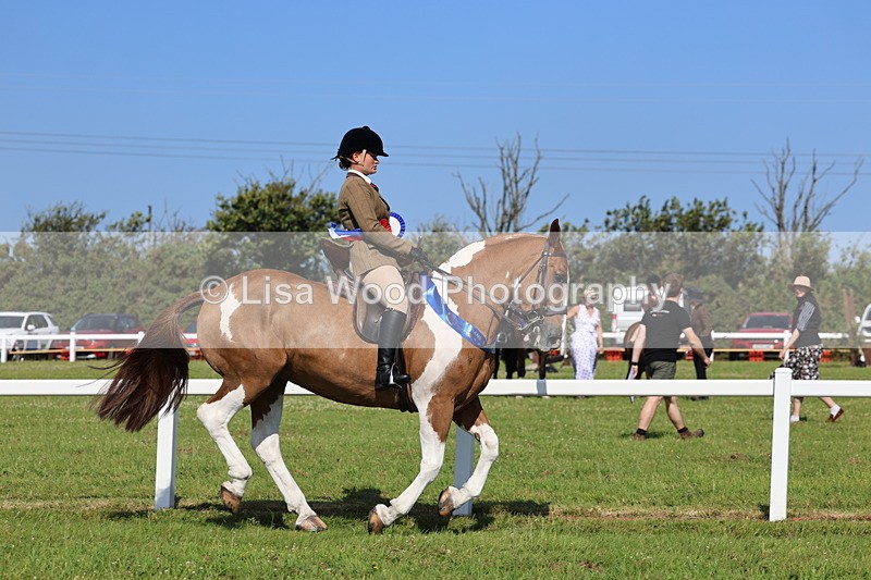 IMG_1695 - Skewbald and Piebald Ridden Championship