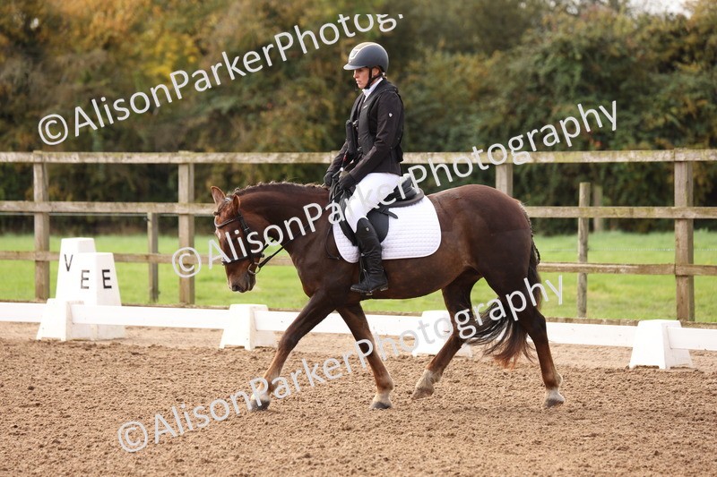 20251021-0016 - Class 2 - Intro 4