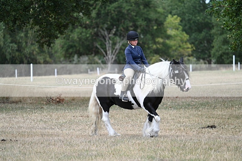 WJ7_4662 - Class 12 Ridden Cob