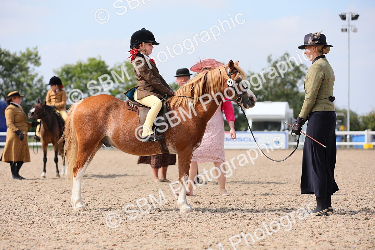 SBM_14067 - Class 309 Lead Rein Pony