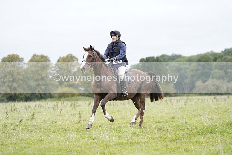 _DSC7037 - Time at Photographer 10:13 to 10:42