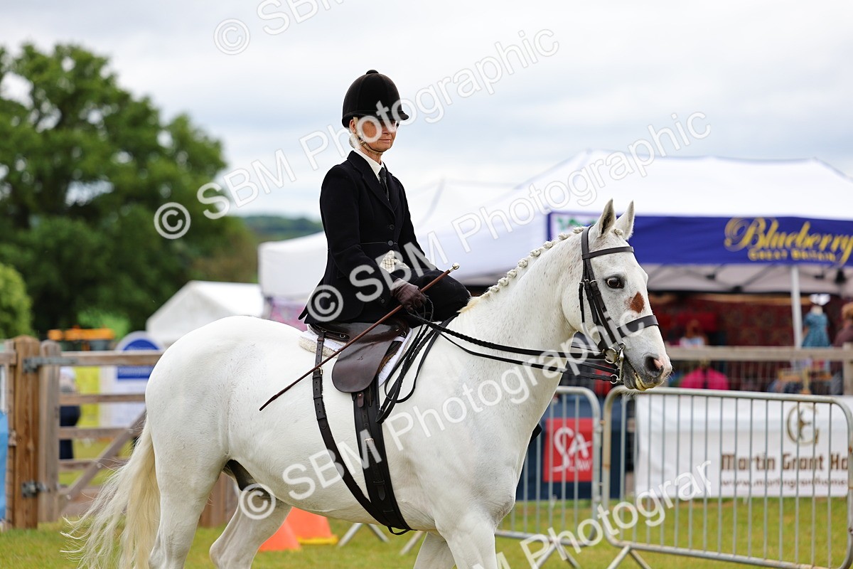 SBM_02692 - Class 9-11 Side Saddle including LIHS Rising Star Ladies Show Horse