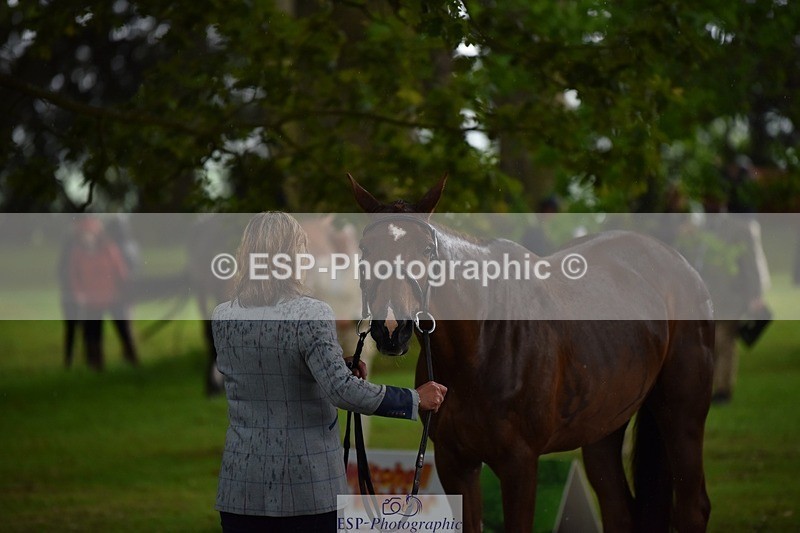 240522-151426-00195 - 307-CYMOON_''F''_Z-Kristina_Cook