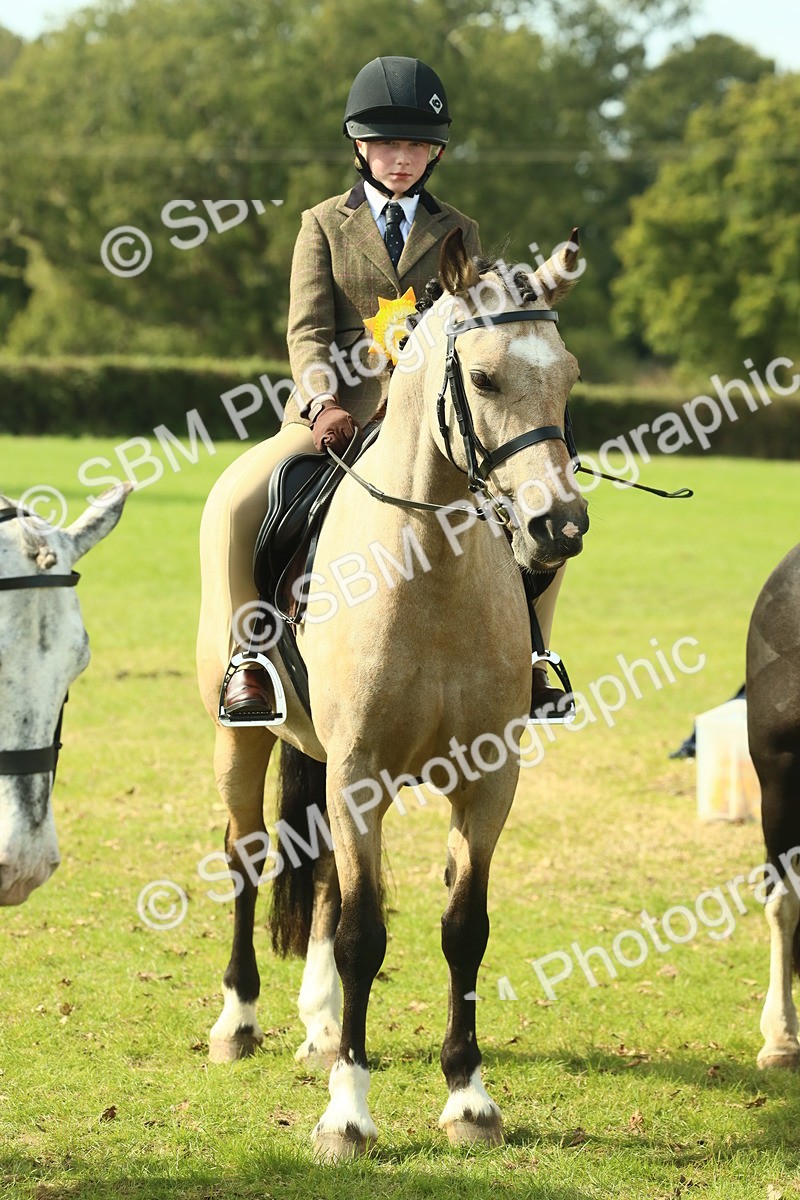 SBM_68978 - S58 - Mini Show Cob Ridden