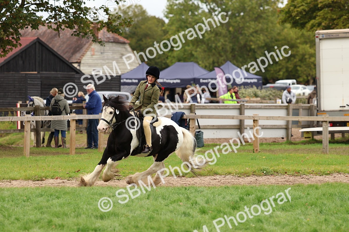 SBM_64571 - S58 - Coloured Pony Ridden