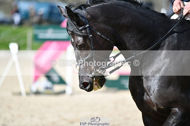 240324-140036-02963 - Cls 10 Newcomers & 1.10m Open