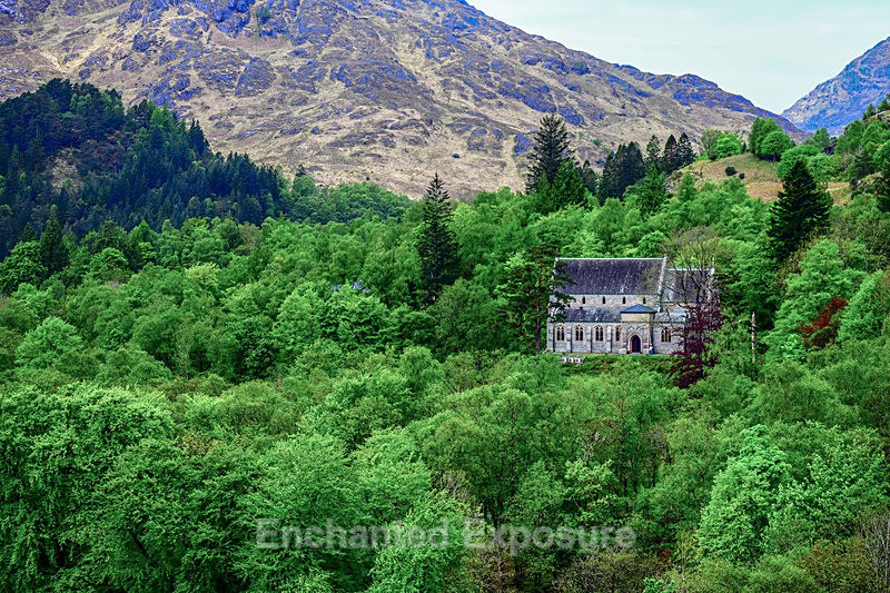 Little Church in the Woods - Landscapes