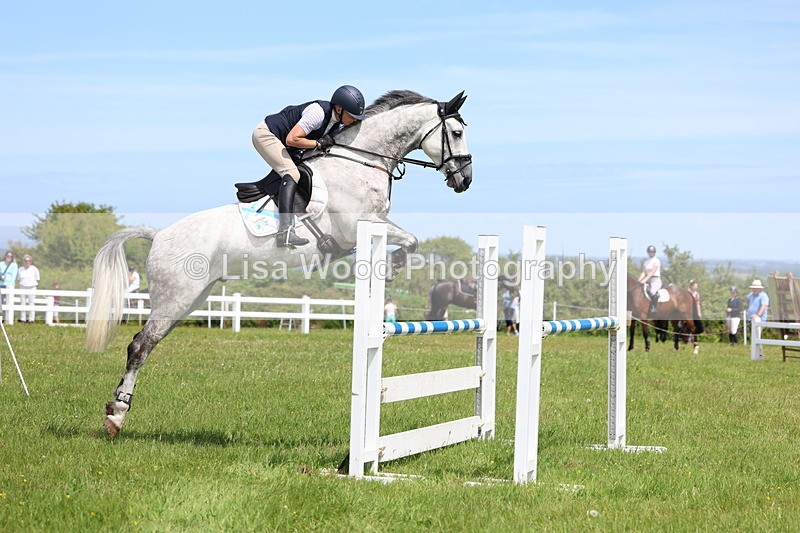3E7A1317 - Class 12: Senior Foxhunter/1.20 open