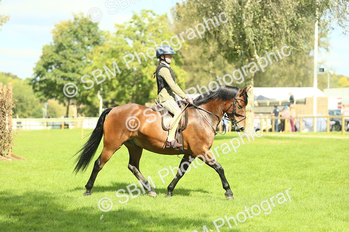 SBM_42978 - S30 - M&M Working hunter Pony