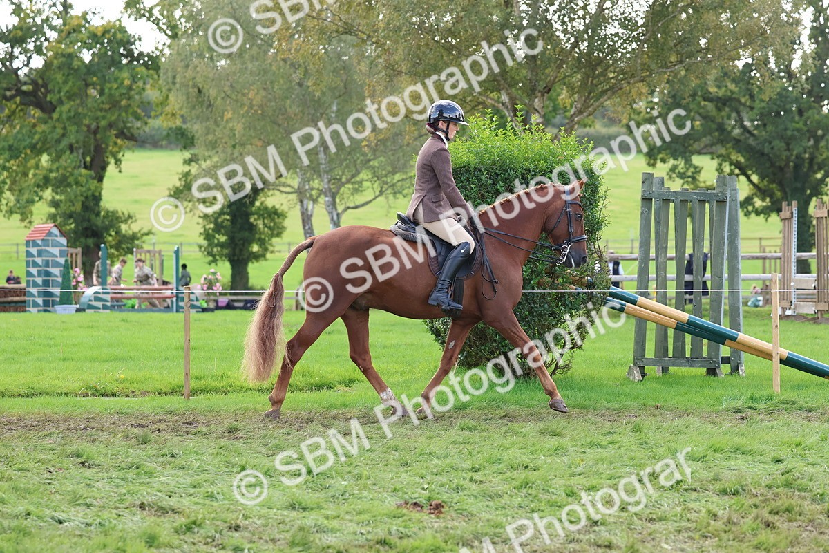 SBM_47620 - S28 - Veteran Ridden