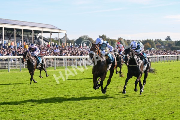 111025-Race 3-Laazm-8601 - Race 3 Coral 'Daily Reward Shaker' For Free Nursery Handicap at York