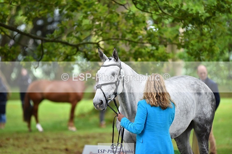 240522-171840-01520 - 266-CAPADOTIA_Z-Eliane_Lovell