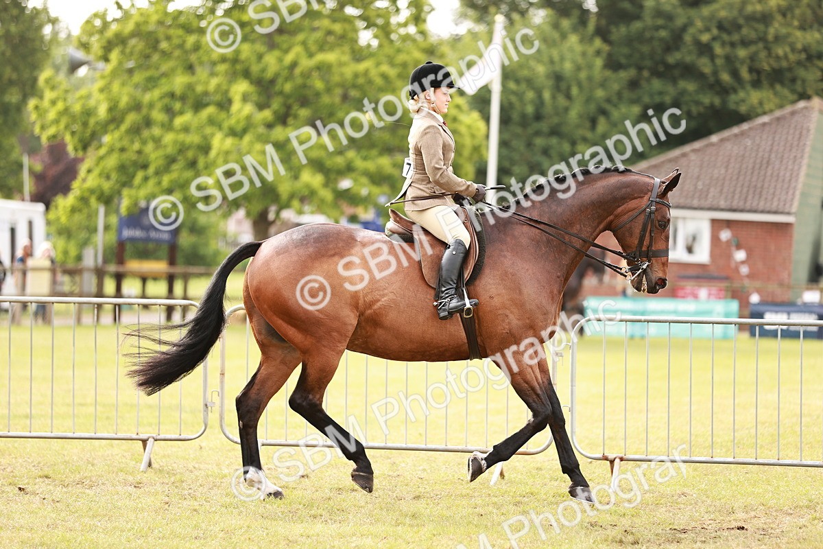 SBM_10852 - Class 81-84 - RIHS Ridden hunters Inc Ladies Hunter