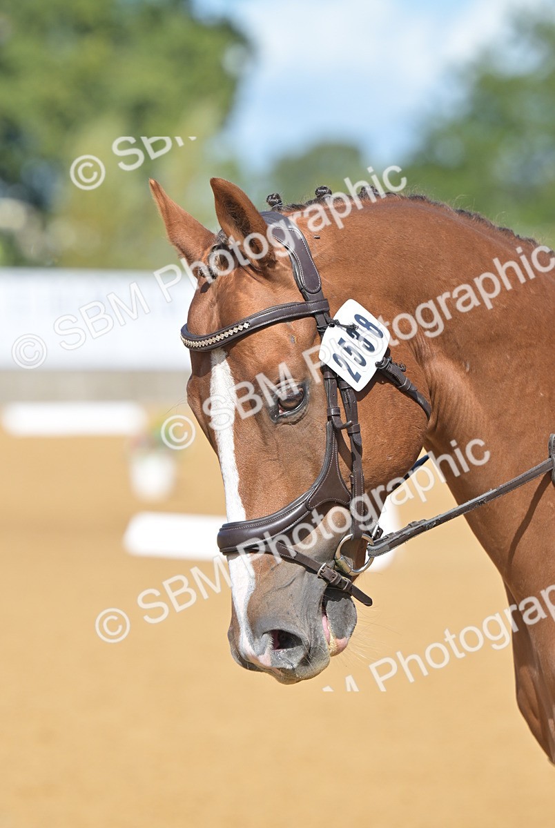 SBM_03988 - D2 - Small Tour Championship Intro 2