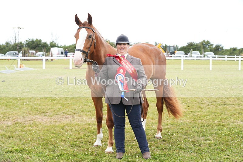 DSC06445 - Hunter/Riding Horse/Hack In Hand Championship