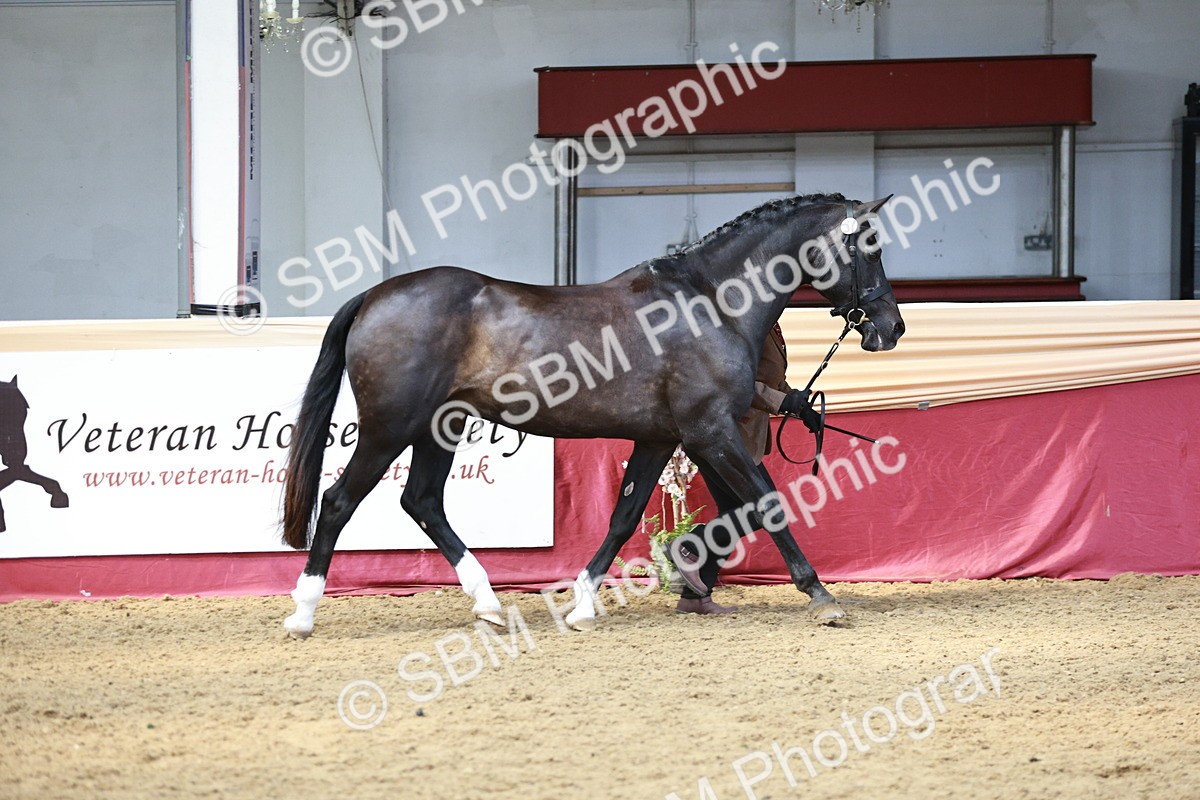 SBM_04750 - Class 7R - Regional IH Diamond