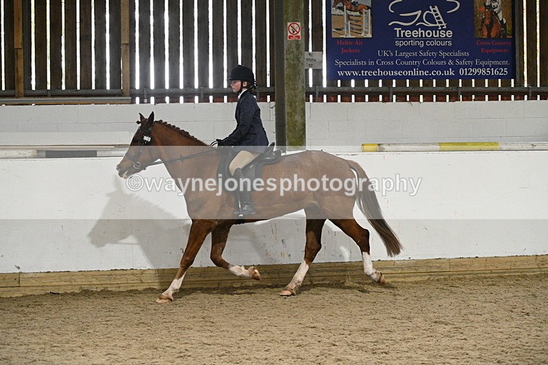 WJ7_4165 - Class 17 Ridden Cob