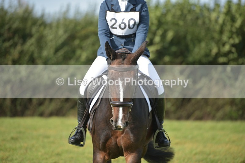 RAY_7773 - Class 2B: Trekenning Open: Dressage